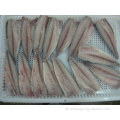 Pazifische Makrele gefrorene Makrelefilet -Meeresfrüchte